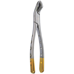 Upper Molar Left Fig.88L