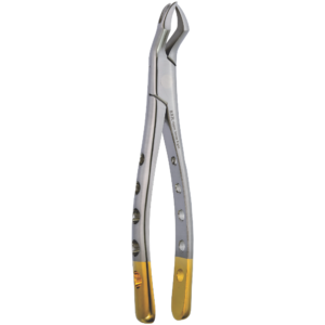 Upper Molar Right Fig.88R