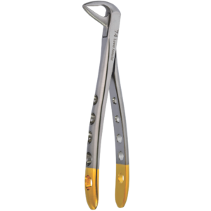 Lower Anterior Fig. 74