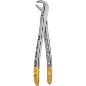 Lower Incisors Fig. 106