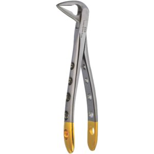 Lower Molars Roots Fig. 859