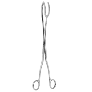 Sterilizing Forceps 25cm